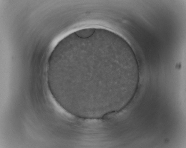 X0000113081526200909182037