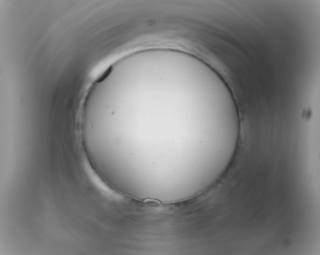 X0000113081528200909182037