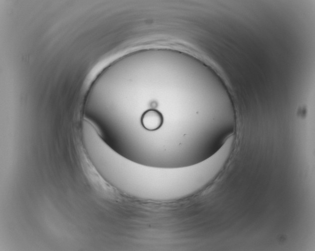 X0000113081530200909182037