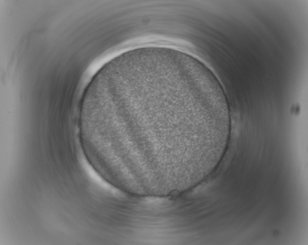 X0000113081531200909182037