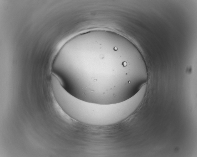 X0000113081532200909182037