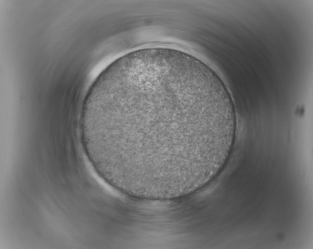 X0000113081533200909182037