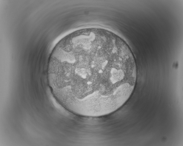 X0000113081534200909182037