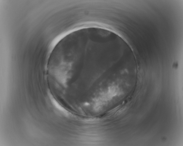 X0000113081535200909182037