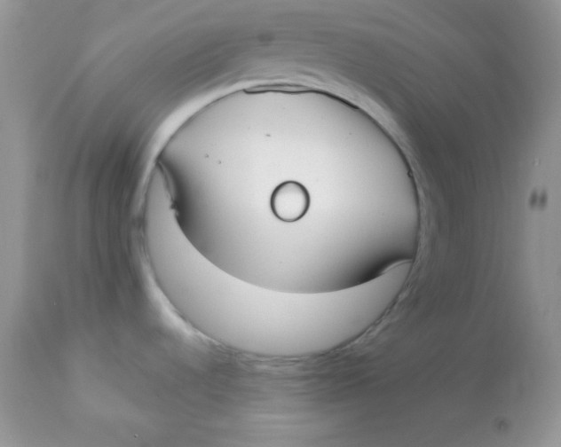 X0000113081536200909182037