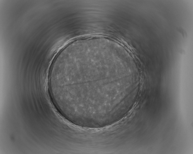 X0000113080002200909250959