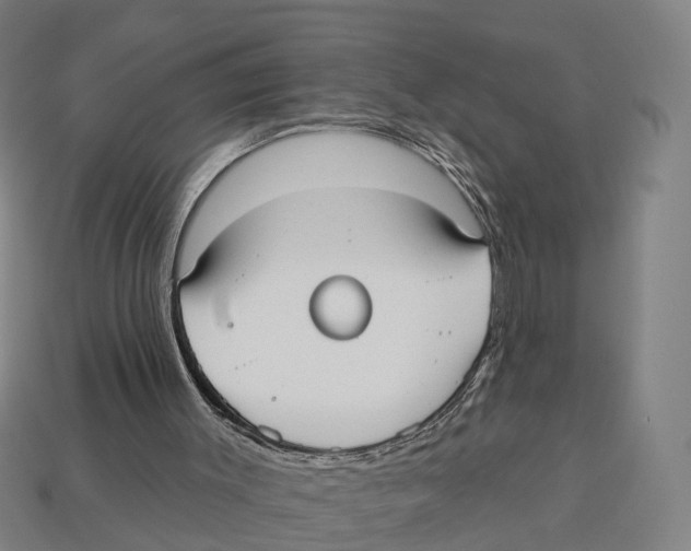 X0000113080003200909250959
