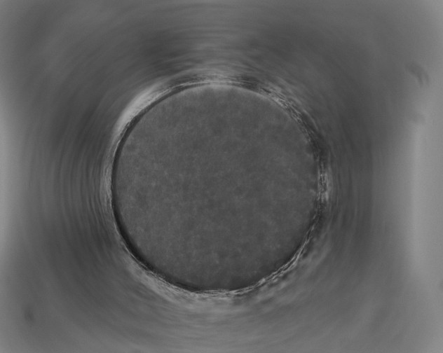 X0000113080004200909250959