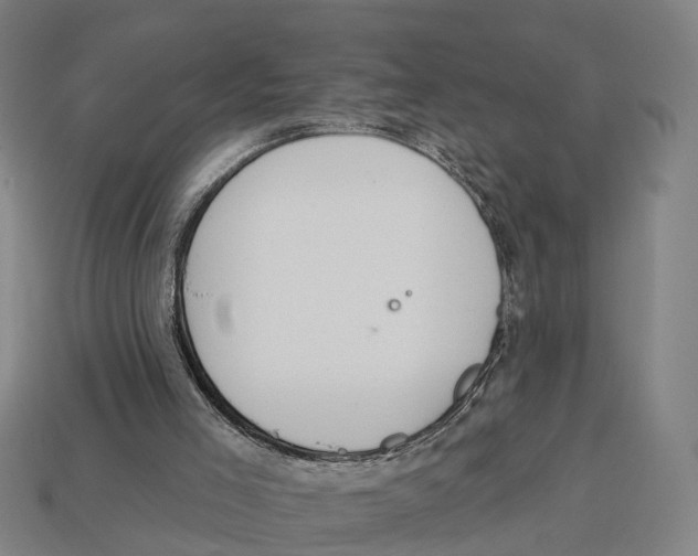 X0000113080005200909250959