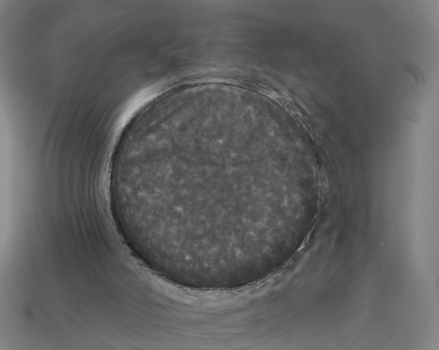 X0000113080006200909250959