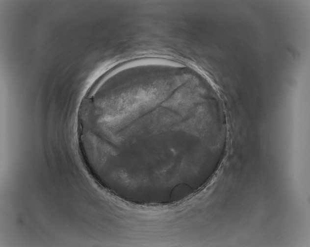 X0000113080008200909250959