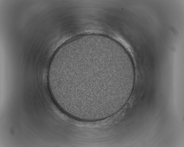 X0000113080009200909250959