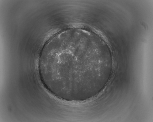 X0000113080010200909250958