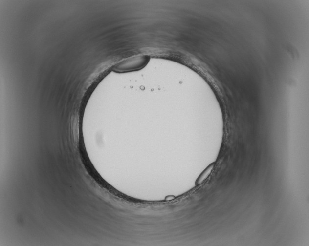 X0000113080011200909250958
