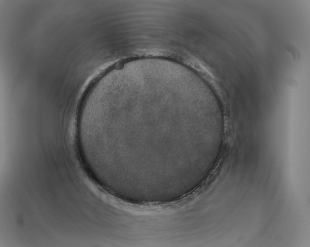 X0000113080012200909250958