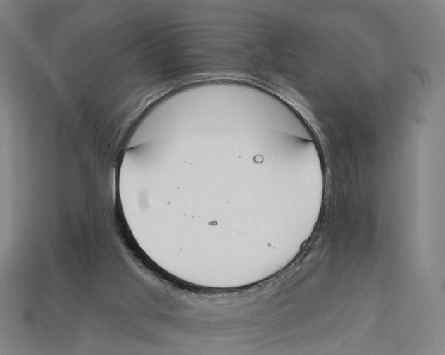 X0000113080013200909250958