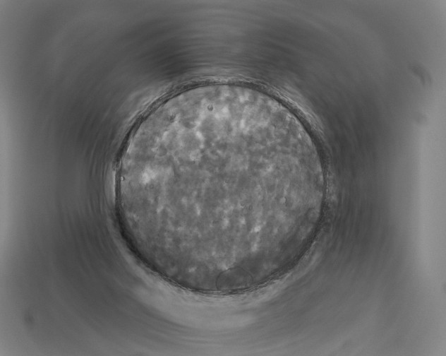 X0000113080014200909250958