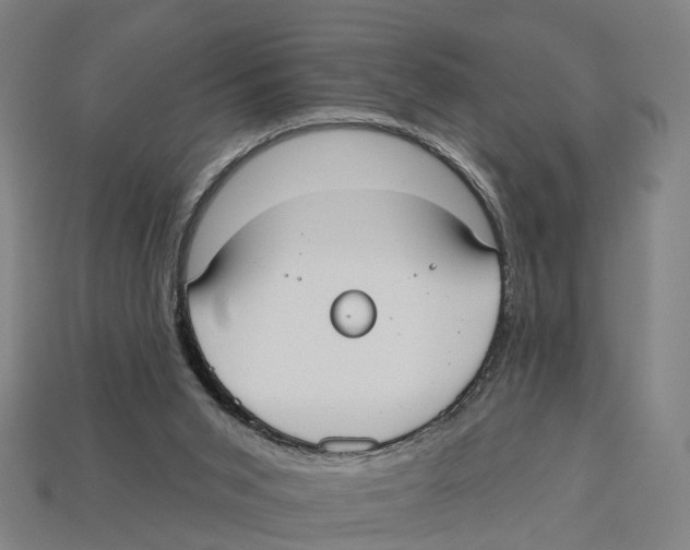 X0000113080015200909250958
