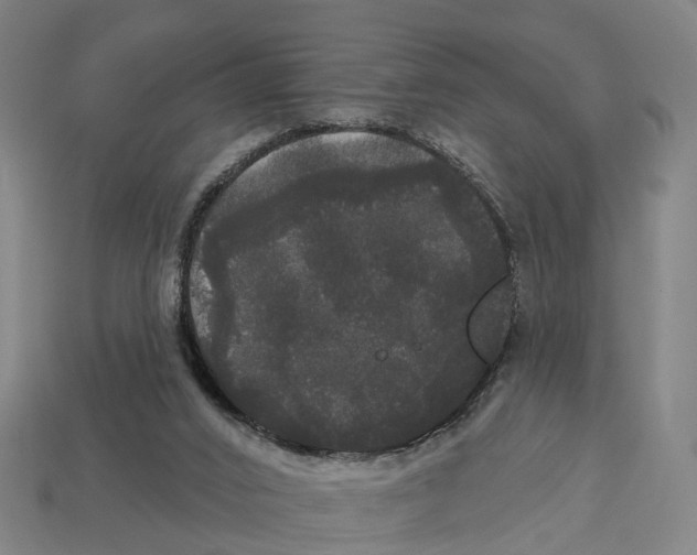 X0000113080016200909250958