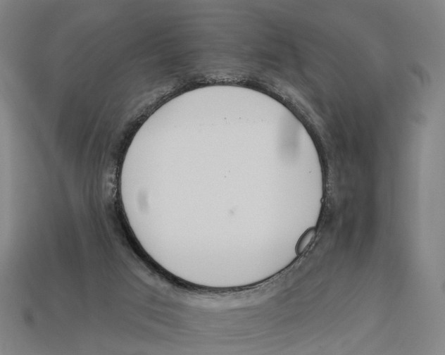 X0000113080017200909250958