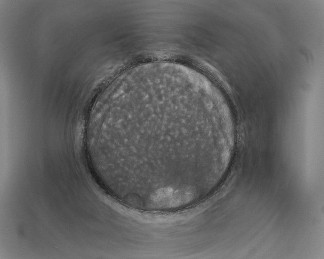 X0000113080018200909250958
