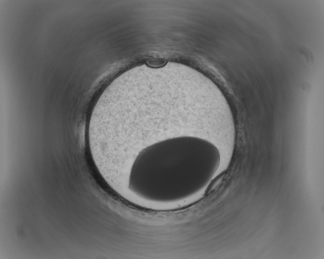 X0000113080019200909250958