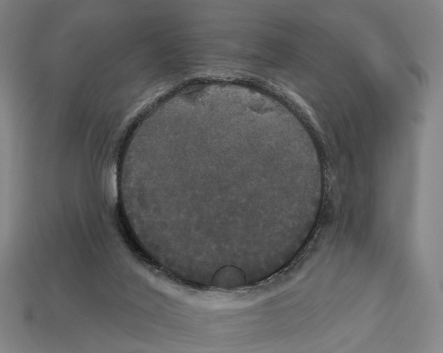 X0000113080020200909250958