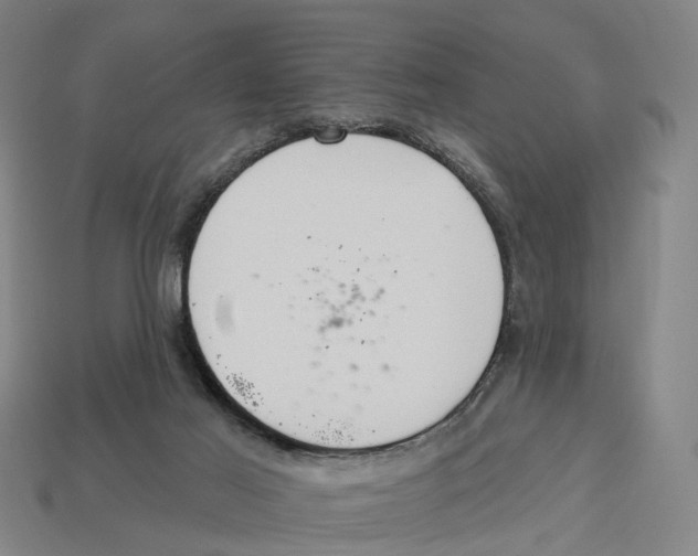 X0000113080021200909250958