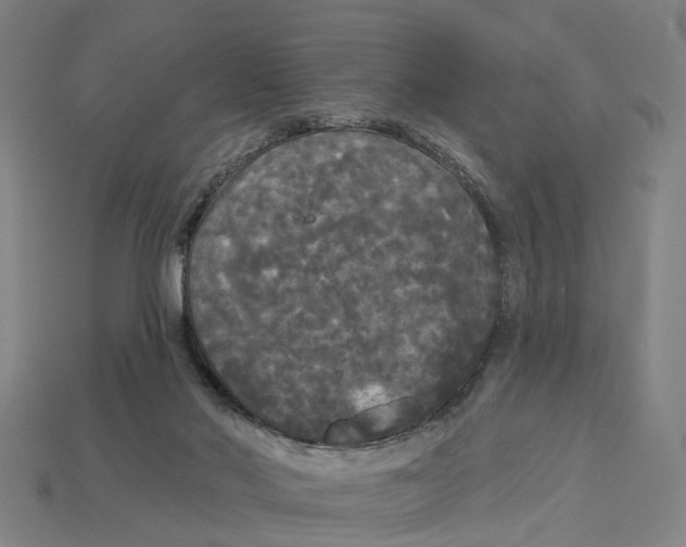 X0000113080022200909250958