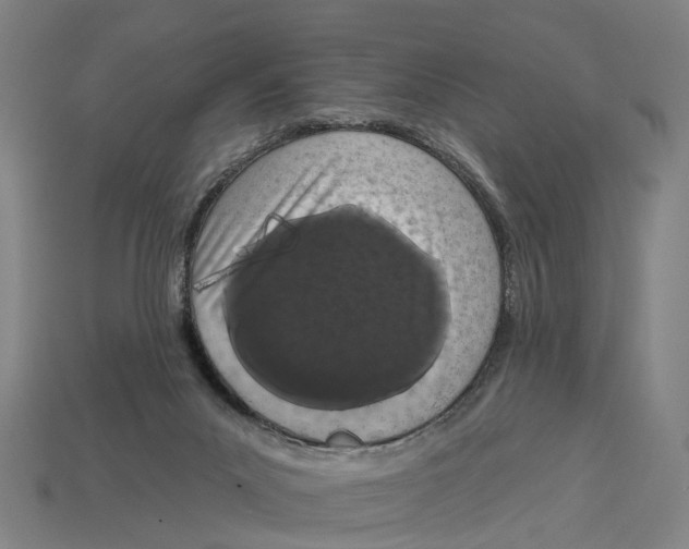 X0000113080023200909250958