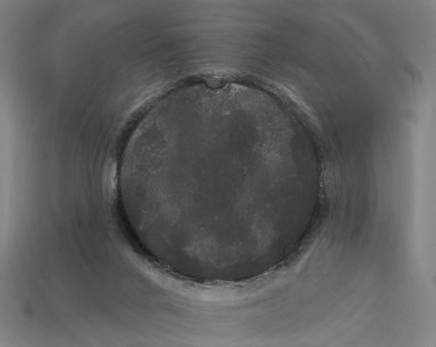 X0000113080024200909250958