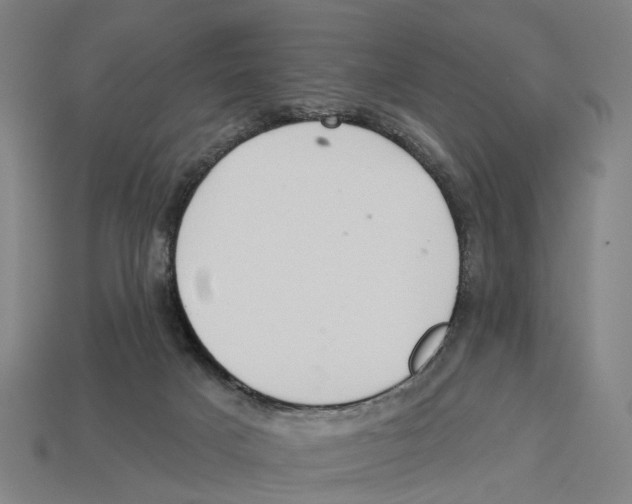 X0000113080025200909250958