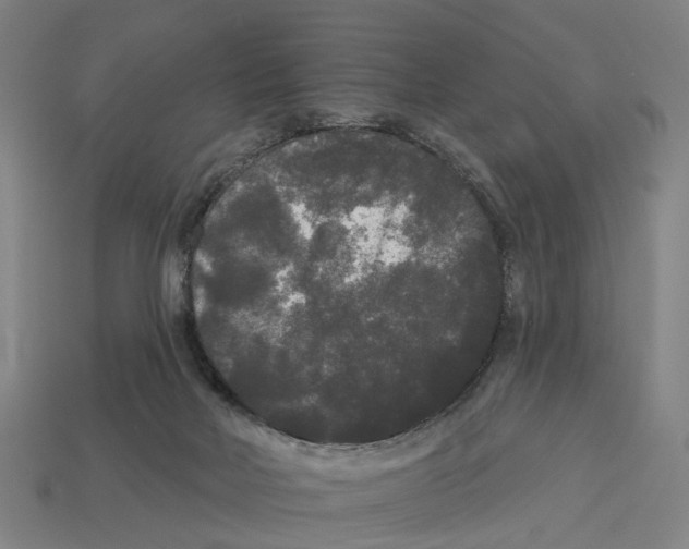 X0000113080026200909250958