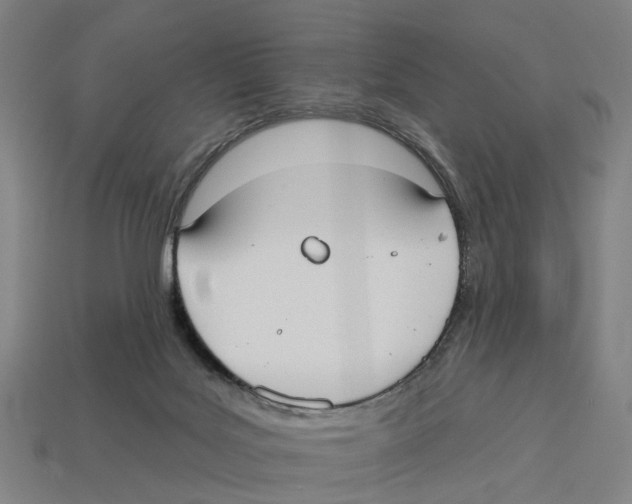 X0000113080027200909250958