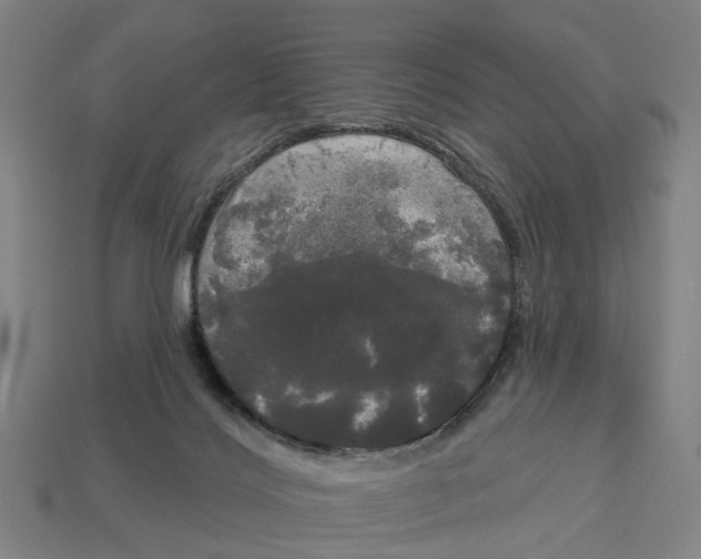 X0000113080028200909250958