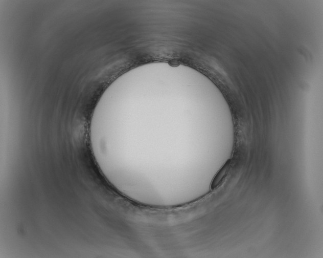 X0000113080029200909250958