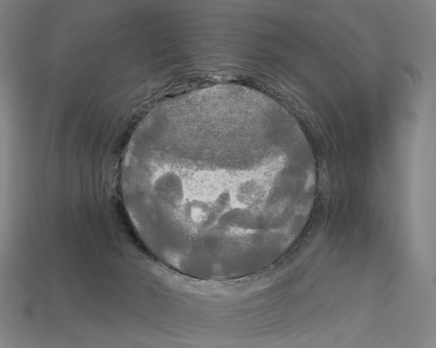 X0000113080030200909250958