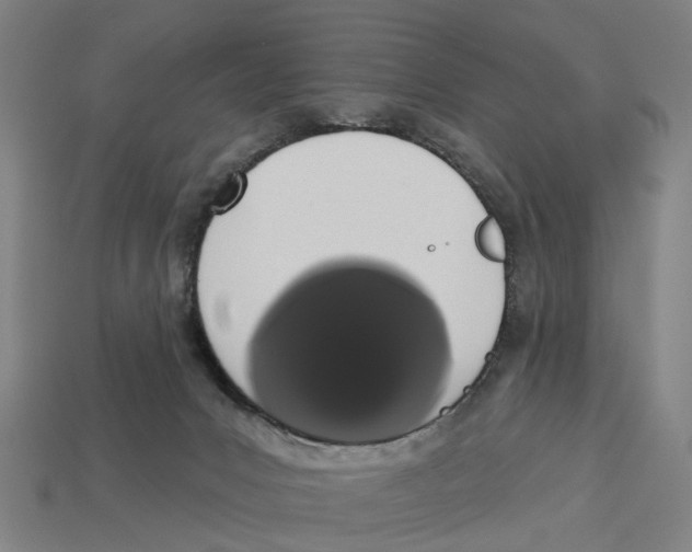 X0000113080031200909250958
