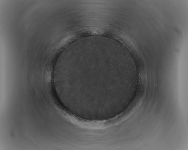 X0000113080032200909250958