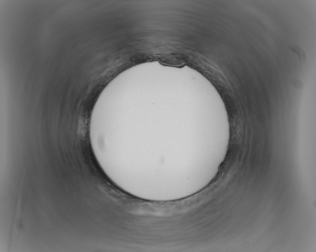 X0000113080033200909250958