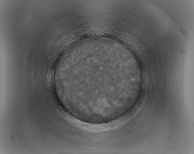 X0000113080034200909250958