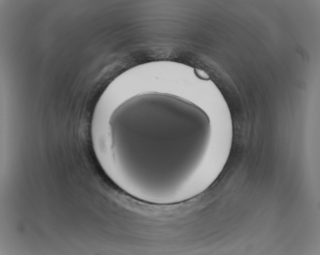 X0000113080035200909250958