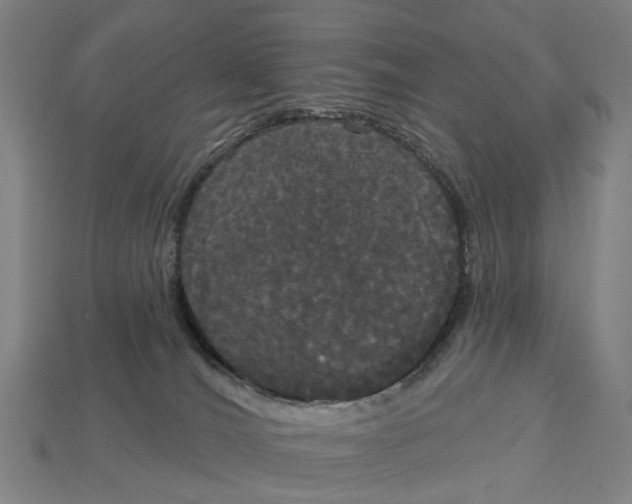 X0000113080036200909250958