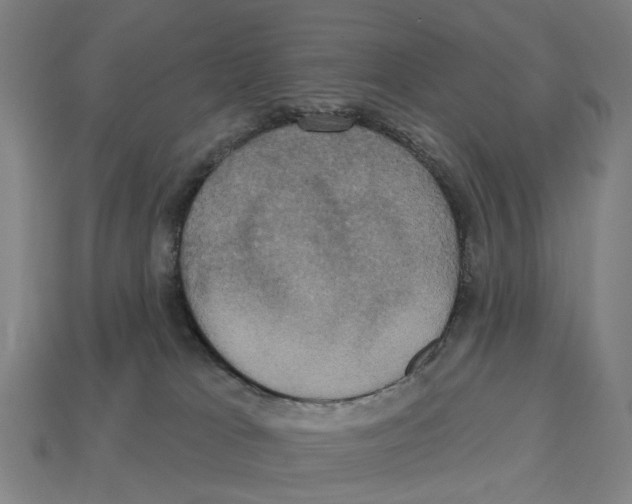 X0000113080037200909250958