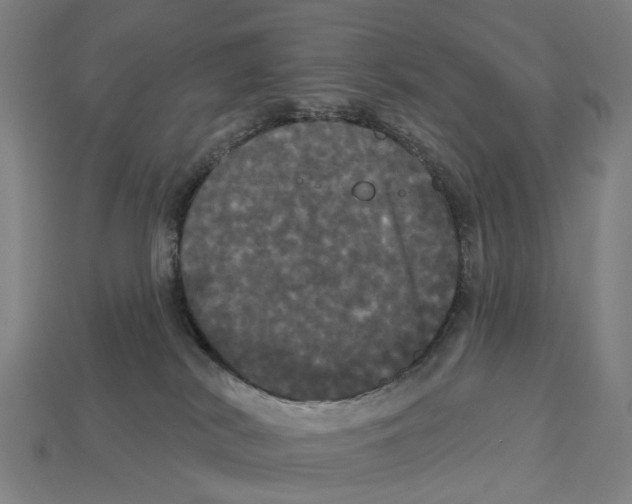 X0000113080038200909250958
