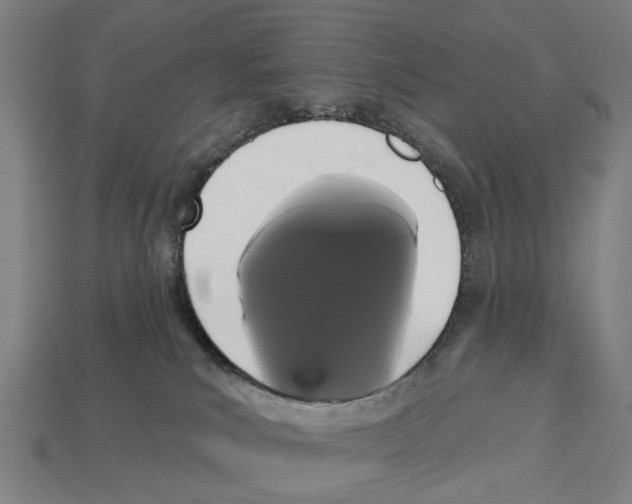 X0000113080039200909250958