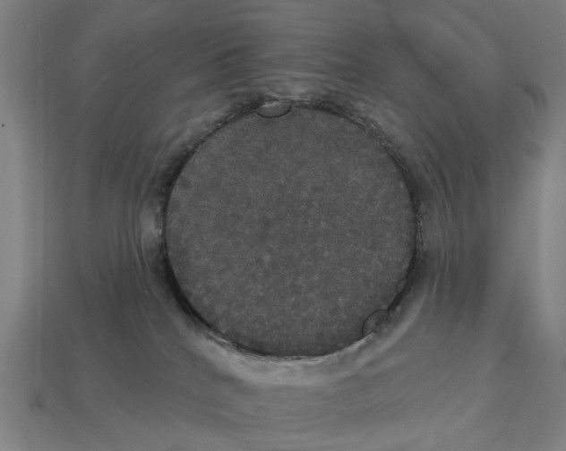 X0000113080040200909250958