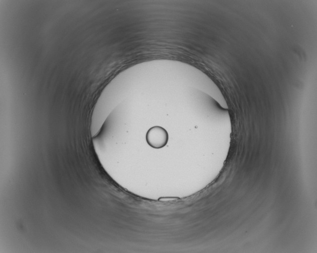 X0000113080041200909250958