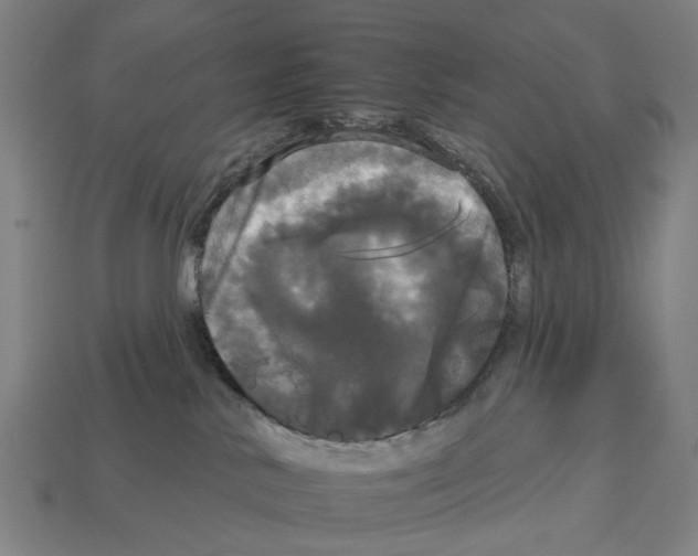 X0000113080042200909250958