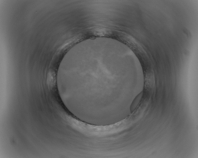 X0000113080043200909250958